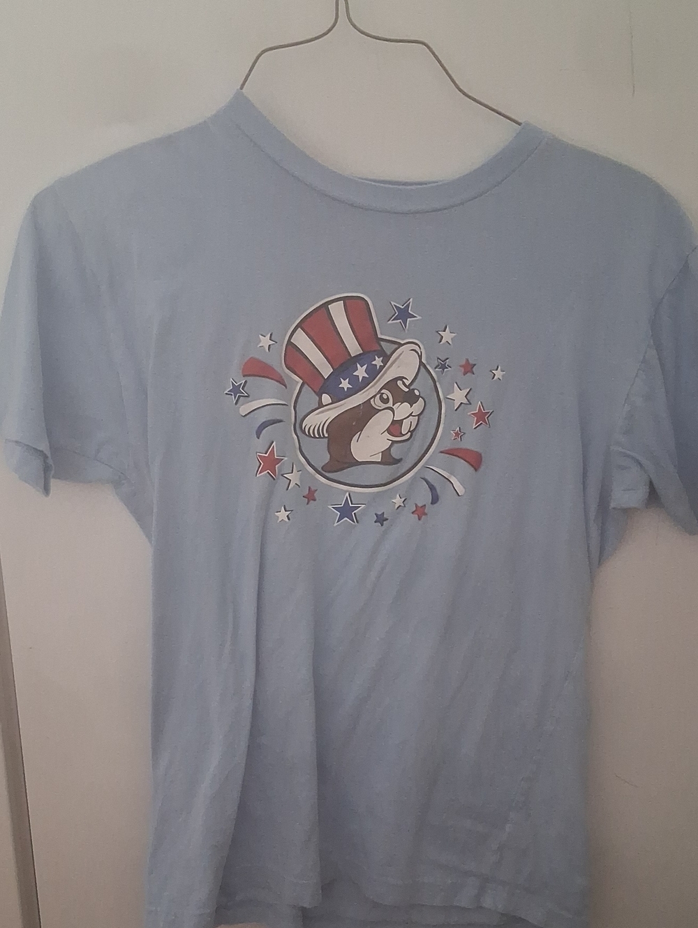 Light Blue Graphic T-Shirt with Patriotic Mascot